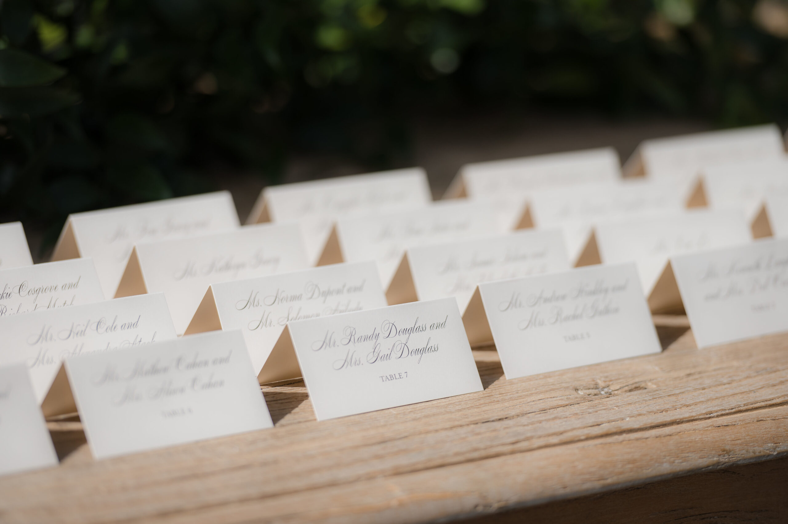 Allison and Scott Place Cards